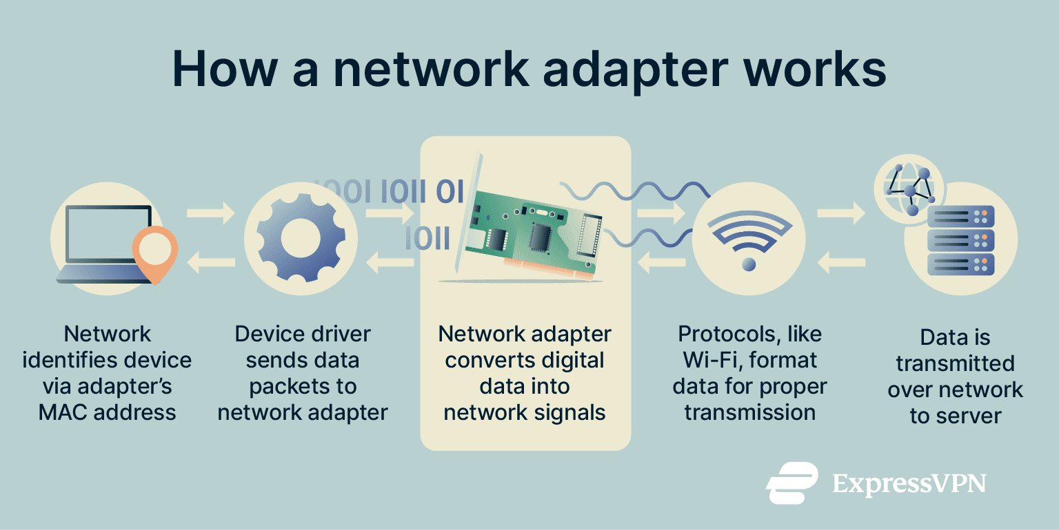 What is a network adapter? | ExpressVPN Glossary