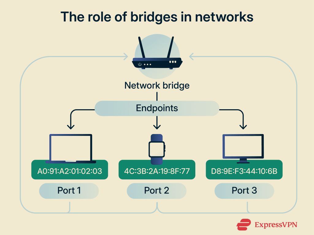 What is a network bridge? | ExpressVPN Glossary