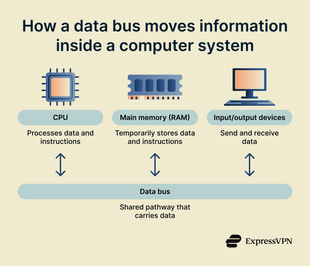 What is a data bus? | ExpressVPN Glossary