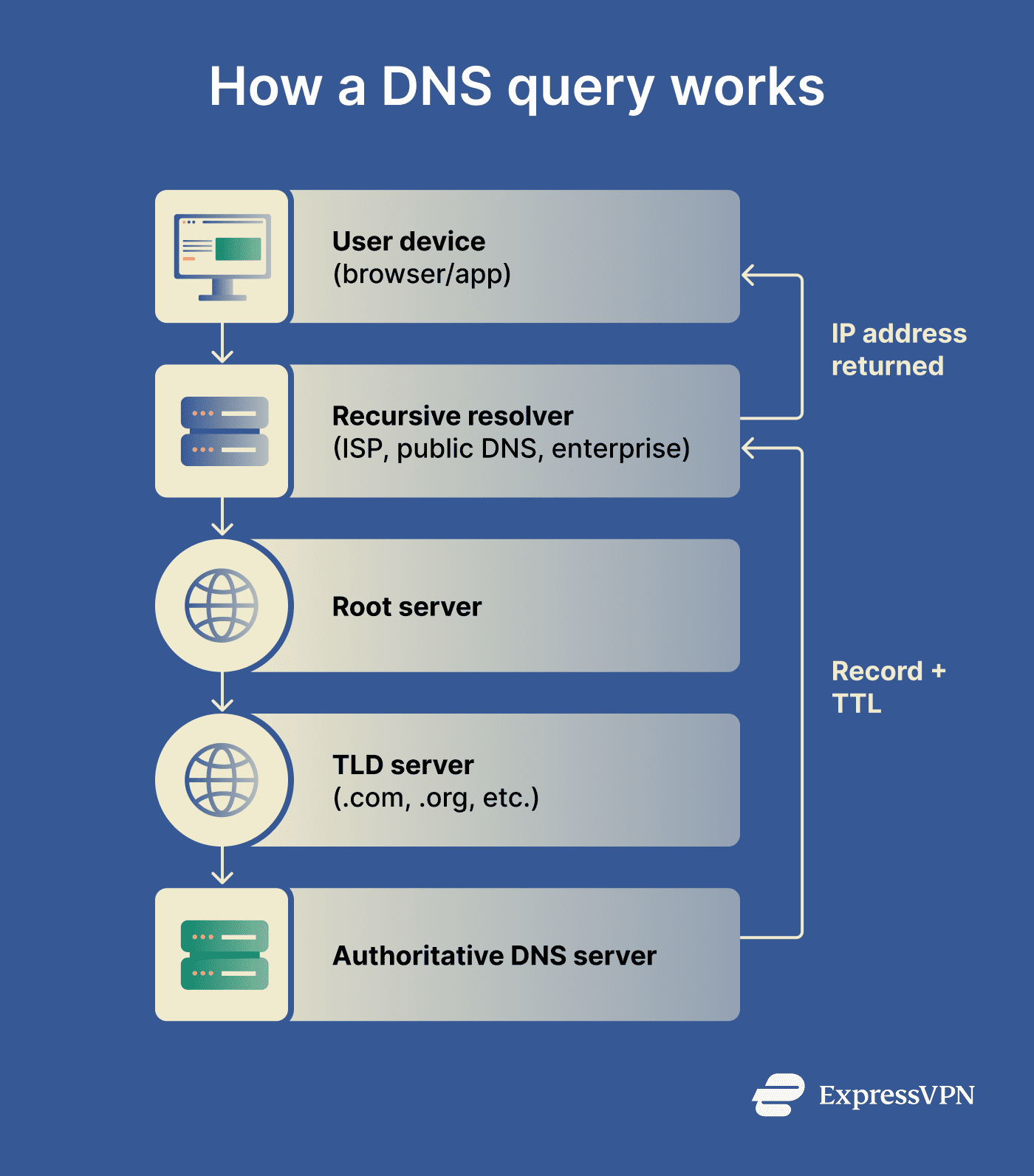 What is a DNS query? | ExpressVPN Glossary